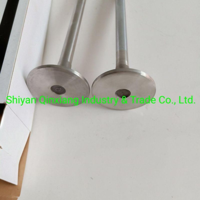 Qsk19 Valve Insert 3086192 3086193 Valve 3631950 4986317 3088389 3803528