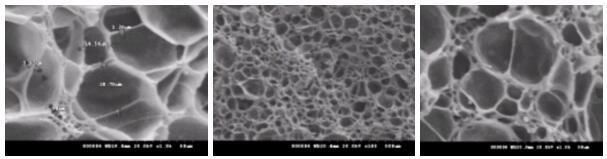 Fuel Level Sensor Nitrile Float