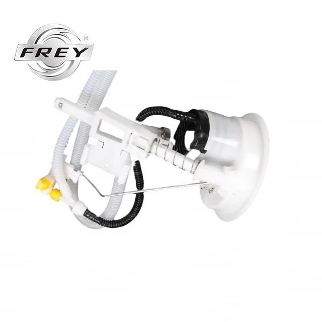 Frey Auto Parts Engine Parts Fuel Filter for BMW N52 E90 E84 OEM 16117163295