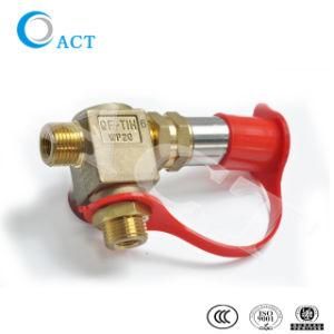 CNG Sequential System Conversion Filling Valve NGV1