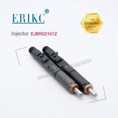 Ejbr02101z Diesel Injector Ejbr02101z Delphi Injector Ejbr02101z for Renault 8200240244