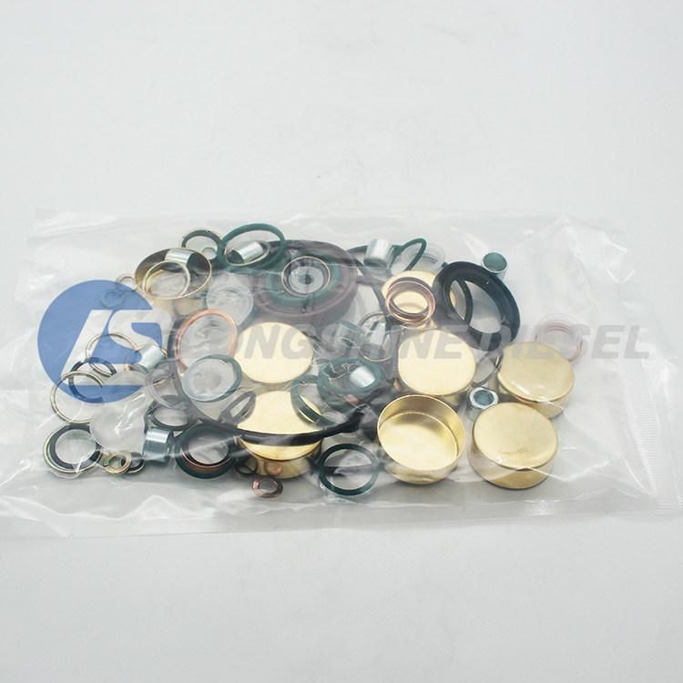 Diesel Injection Pump Repair Kit 241701022 2 417 010 022