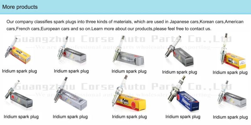 Automobile Motorcycle Ignition Spark Plug for C7eh C8eh C9eh Cr5eh Cr6eh Cr7eh Cr8eh Cr9eh Cr10eh Cr8eh Cr8ehix - 9 Pk20pr11