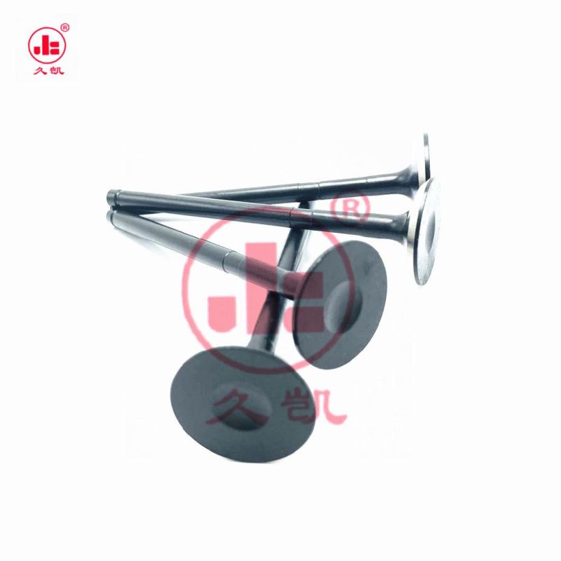 Engine Valve Intake Exhaust Valve 96376980 for Kalos 1.4 Doch Lacetti 1.4 Cruz 1.6 Nubira 1.6 F14D3 F16D3