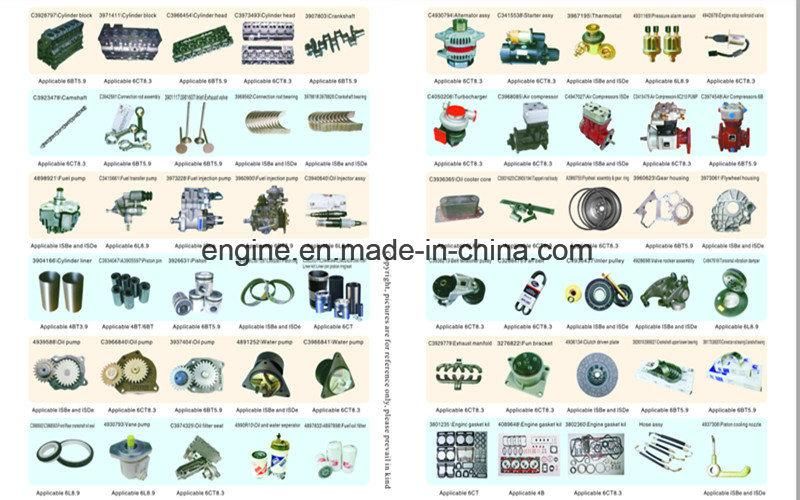 Genuine Isle Engine Fuel Injetcor 4994541 0445120199