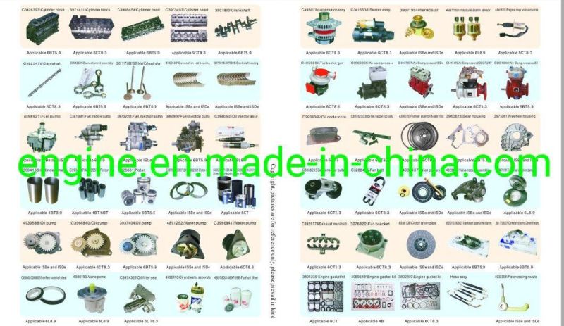 Original 6b Fuel Injector 4063321 4025334 4063212 3919339 3919350 3802316