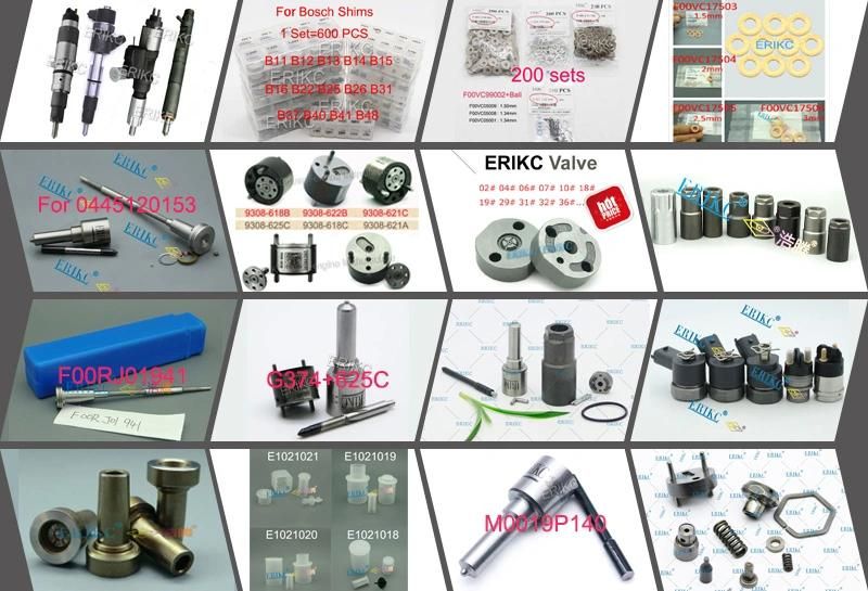 Erikc Dlla162p2160 Nozzle Fuel Injector Dlla 162 P 2160 Oil Spray Nozzle Dlla 162p2160 0433172160 for Bosch 0445110369