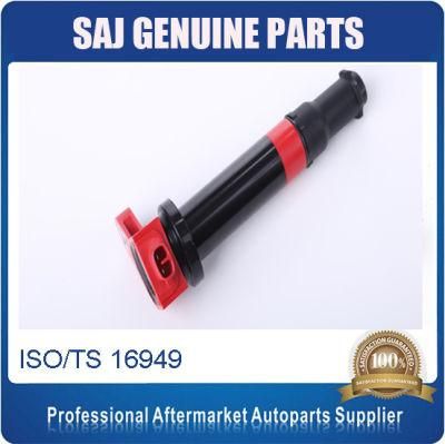 Dq9101ar High Quality Ignition Coil for Hyundai Vvt 27301-26640