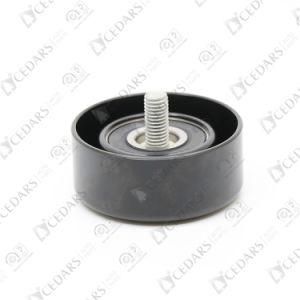 Auto Belt Idler for Hyundai NF 25287-25000