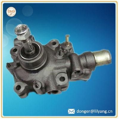 Iron Casting Automotive Engine Water Pump Housing
