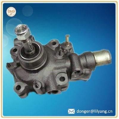 Iron Casting Automotive Engine Water Pump Housing