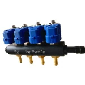 CNG Gas Common Rail Fuel Injector