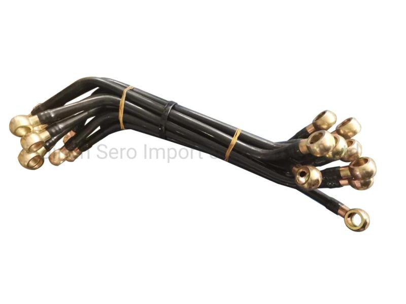 HOWO Sinotruk Truck Spare Parts Engine Parts Wp10 Wp12 Diesel Engine Parts Fuel Common Rail Pipe Vg1034080003