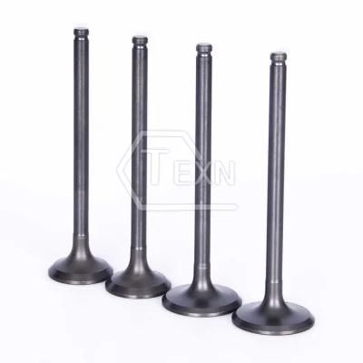 Engine Valve Intake Valve 612600050008 for Steyr Steyr-J11