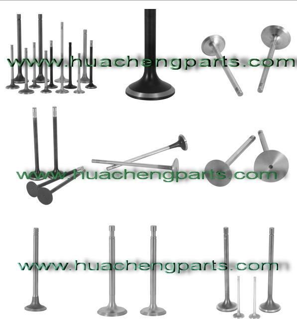 Diesel Engine Parts Intake & Exhaust Valve for Tpk100