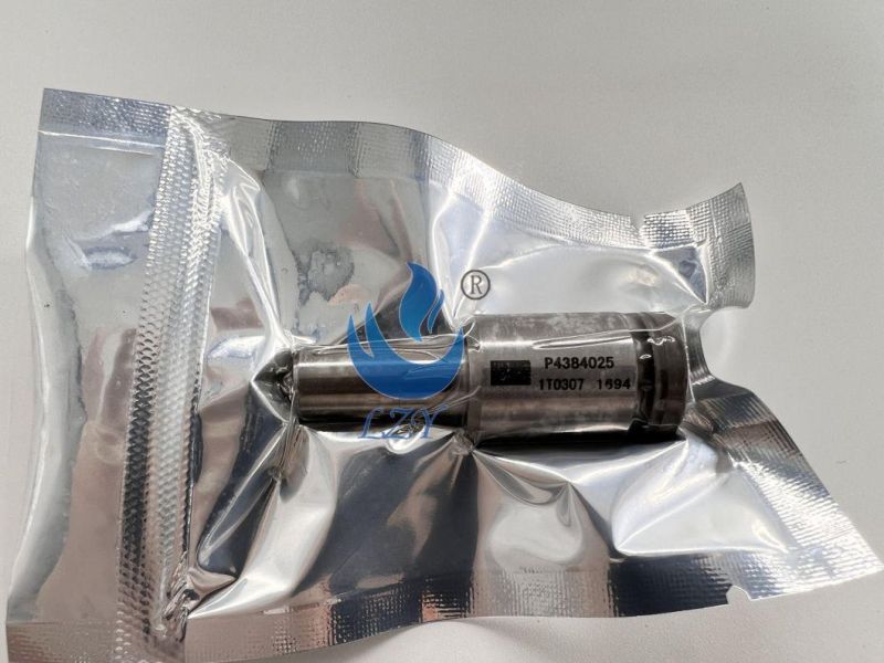 Diesel Engine Parts - Fuel Nozzle P4384025
