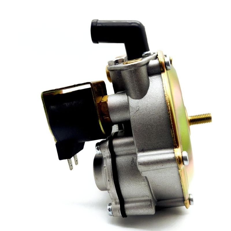 Llano Ln-At04b High Pressure CNG Pressure Reducer for Traditional CNG Carbureted System