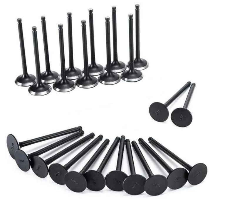 Engine Valve Intake Valve SMD159502 for Mitsubish 4G16-J10A