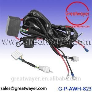 Fuse Holder and Auto Wire Harness for Truck