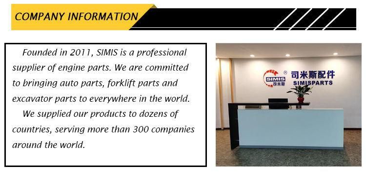 Simis Water Pump for Komatsu 3tnv76 3tnv70