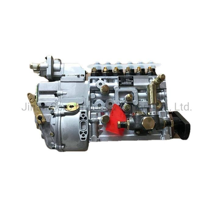 Sinotruck HOWO Parts Diesel Fuel Injector Pump Vg1560080023 for HOWO Wd615.47 371HP Engine Spare Parts