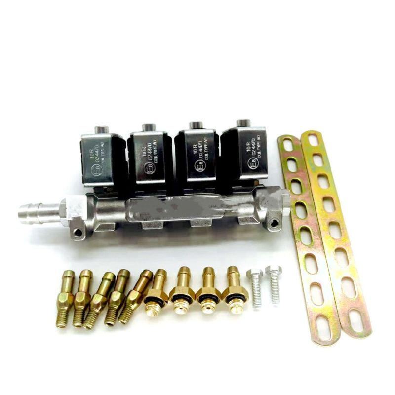 Llano Black 2ohm 4 Cylinder CNG LPG Injector Rail Ln-Lig1 for High Quality Autogas Equipment