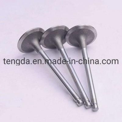 Diesel Engine Spare Parts Truck Exhaust Valve for Sale