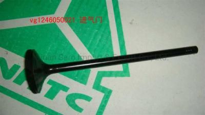 Diesel D12 Engine Parts Intake Outlet Valve Vg1246050021 Vg1246050022 for Sinotruk HOWO Truck Parts