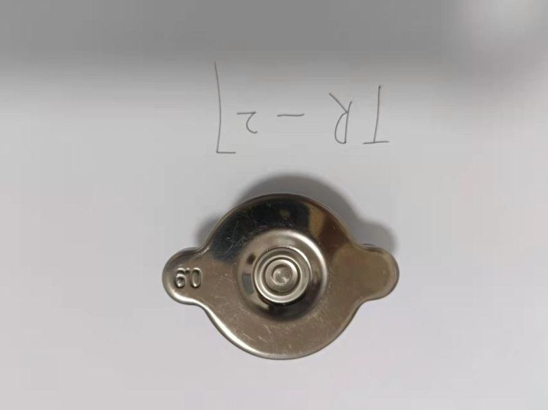 Stainless Steel Radiator Cap
