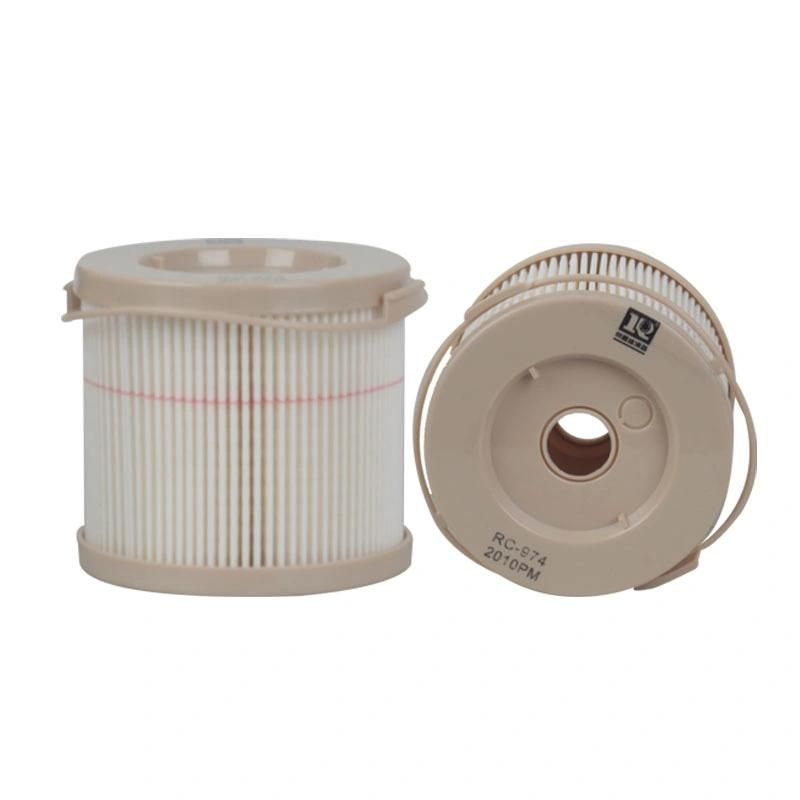 Fuel Filter OEM Fs10203 2010pm P552010