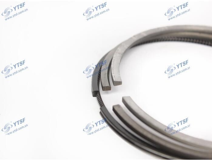 Isde Auto Spare Parts Isde Piston Ring C3971297/3976339/4932801