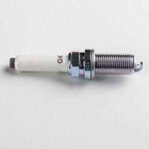 Volkswagen Q5 A6l A4l Platinum Spark Plug