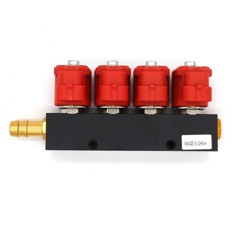 Llano 3-Ohm 4-Cylinder CNG Injector Rail for Autogas Conversion Kit