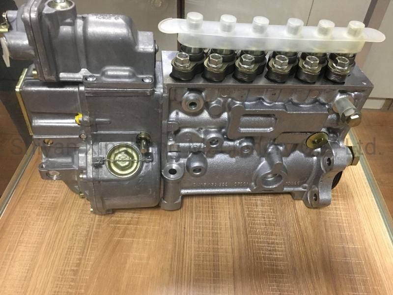 Dcec 6CT8.3 Engine Parts for Fuel Injection Pump 3973900