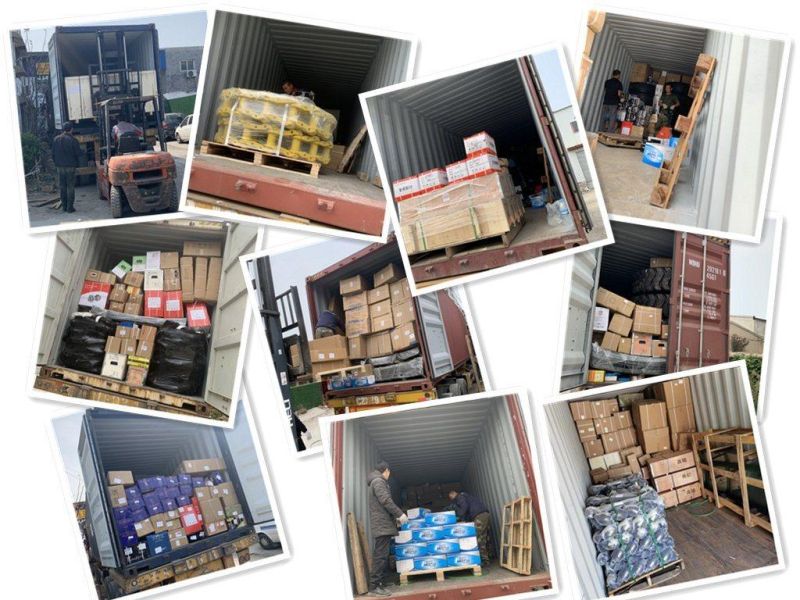 Sinotruk Weichai Spare Parts HOWO Shacman Heavy Duty Truck Engine Parts Factory Price Starter Vg1560090007