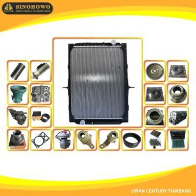 Sinotruk HOWO Shacman Foton Truck Parts Radiator Auto Parts