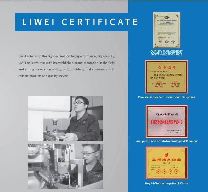 Liwei Brand Dlla 155p 985 Dlla 155p895 for Crdi 095000-589# / 773#23670-30080/30180/30210/3032023670-39135/39136/3915523670-39156/39295/39296