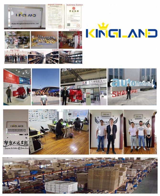 Auto Diesel Engine Parts China3512b, 3516b 3512c, 3516c Fuel Injector Assembly 392-0206 20r-1270