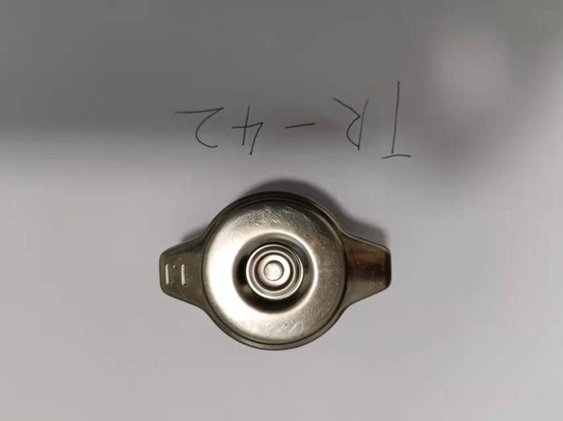 Stainless Steel Radiator Cap