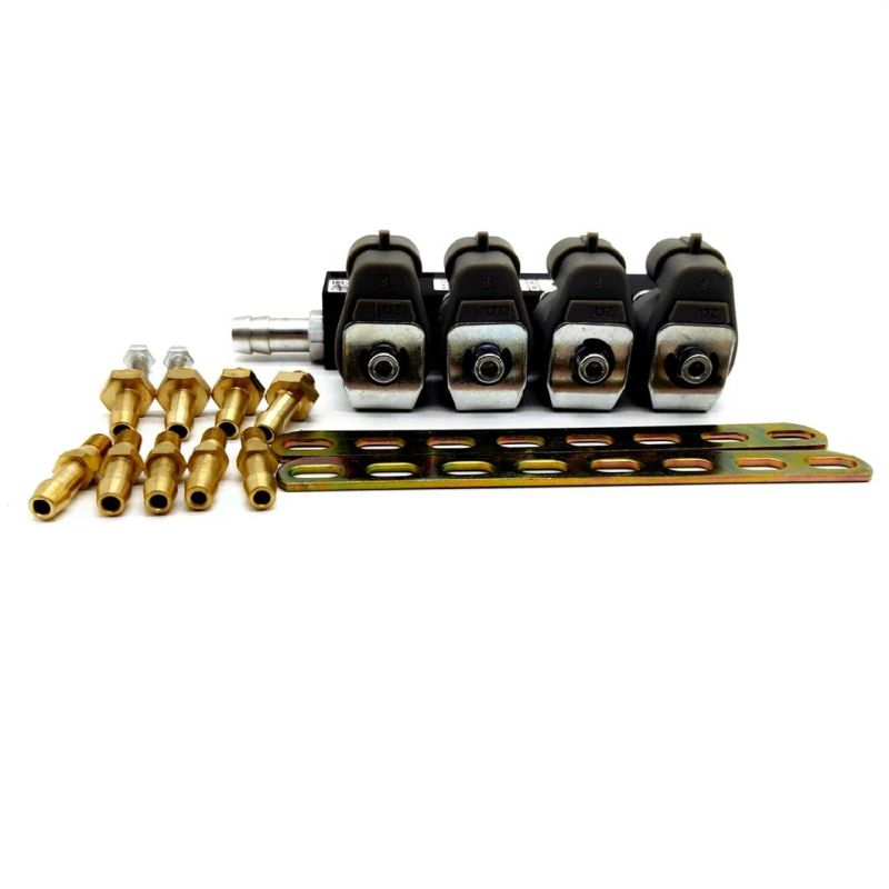 Llano Grey 3ohm CNG LPG Injector Rail Ln-Ig1s for 4 Cylinder Gnv Gpl Engine