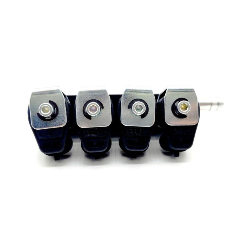 Llano Black LPG CNG Rail Injector Ln-Lig1s for 3 Ohm 4 Cylinder Engine