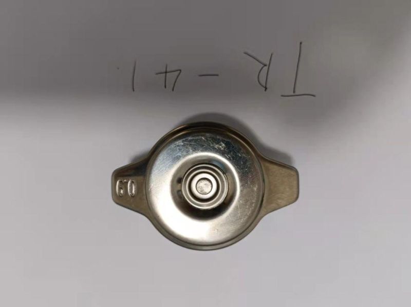 Stainless Steel Radiator Cap