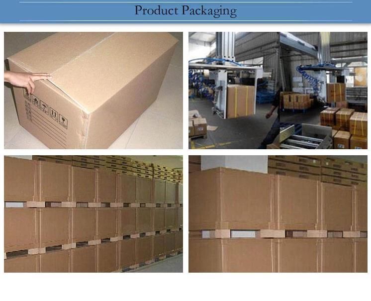 High Proformance Car Accessories Engine Parts Car Spark Plug