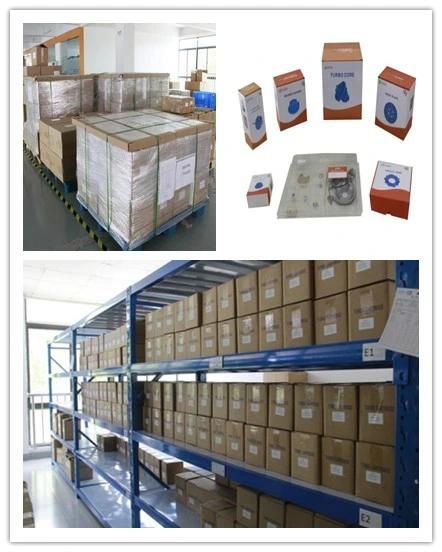 Best-Selling 2001-10 BV39 Turbo Parts 54399980070 for Turbocharger Repair Kits for Nissan, Renault