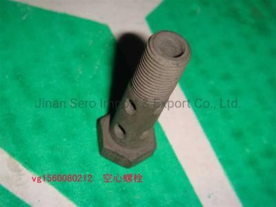Sinotruk HOWO 371 Truck Spare Parts Engine Parts Hollow Bolt Vg1560080212
