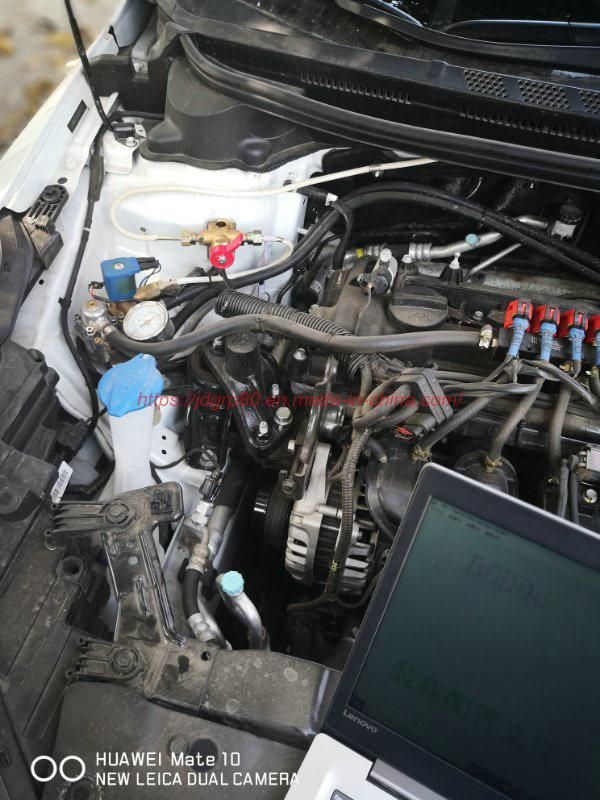 CNG LPG Reducer Regulator Conversion Kits for Car Piston Type