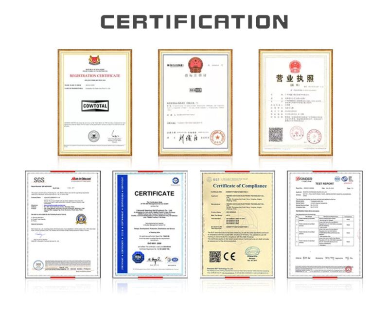 Car Accessories Auto Car Parts Good Quality High Performance Spark Plug Zfr6fgp