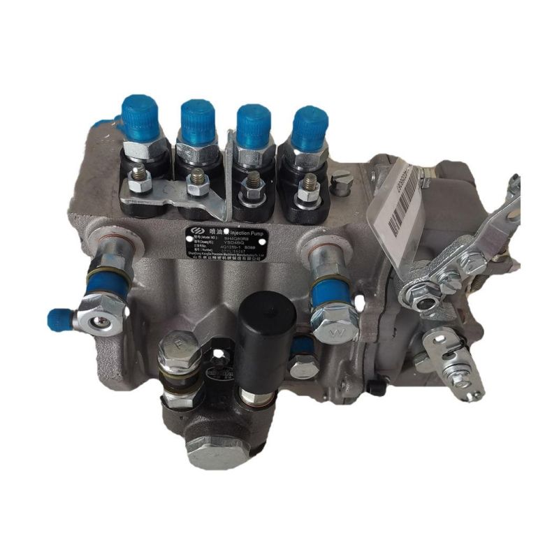 OEM Factory 2 Cylinder Fuel Pump for Xinchai Engine Parts