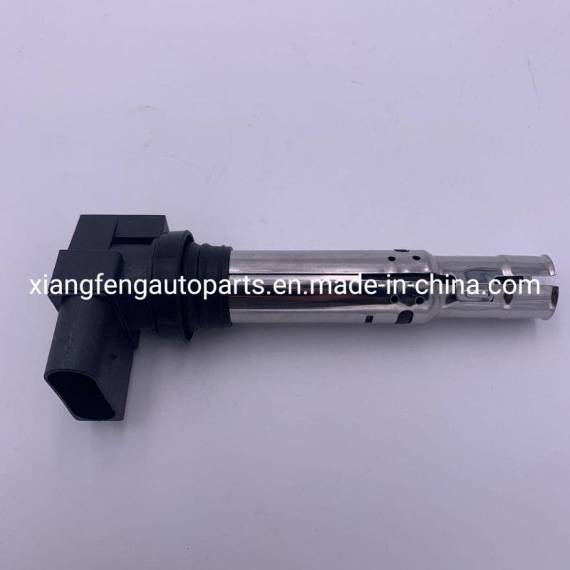 Car Accessory Auto Parts High Quality Ignition Coil for VW Polo OEM 036905715f