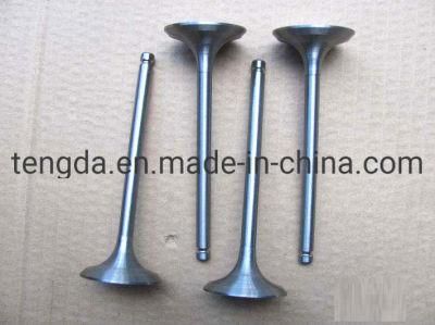 Dongfent Truck Isde Diesel Engine Spare Parts Intake Valve